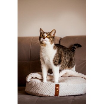 Zolux | Paloma Cat Bed with Cover, 480x480x150 mm | Beige